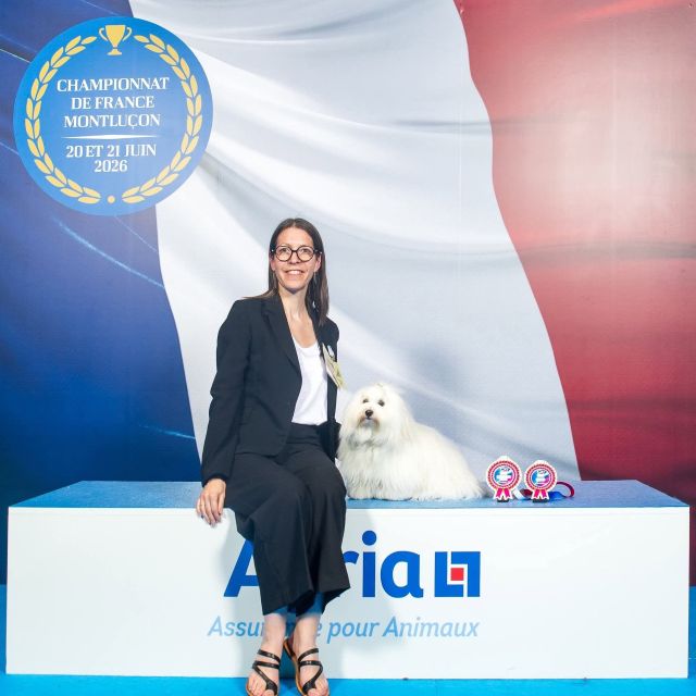 Sweety -  CACIB-J - Meilleur Jeune et Sexe Opposé à Montluçon Spéciale CACIB